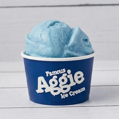 Aggie Blue Mint Magnet